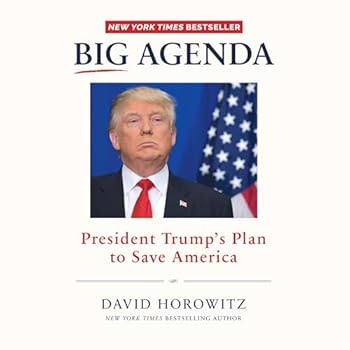 Audio CD Big Agenda: President Trump's Plan to Save America Book