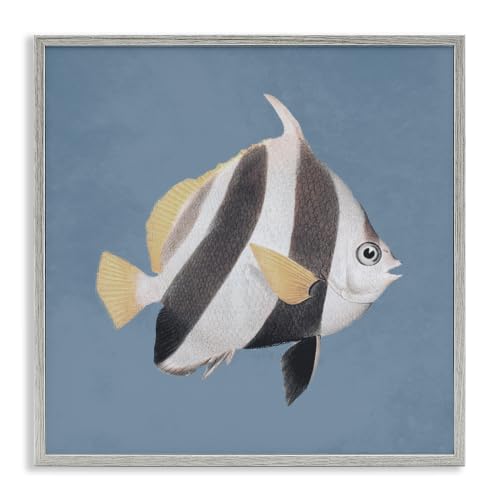Striped Fish Marine Life Portrait, 17 x 17 Inch Framed Giclée Print
