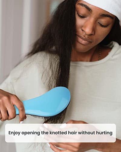 Detangler Brush, 3 Pcs Detangling Hair Brush Set, No Pain Kids Hair Brush, Detangling Brush For Curly Hair, Hair Brushes For Women, Men & Kids #TOP4