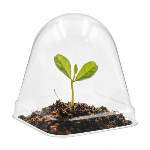 RooTrimmer 120 Pack Clear Humidity Domes, Transparent Seedling Domes Compatible with 2.7 Inch Square Nursery Pots for Seedlings by RooTrimmer - Image 8