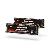 Gigastone HPC Computing M.2 SSD 2TB (2er-Pack) PCIe 4.0 NVMe SSD 5,000MB/s Host Speicherpuffer Cache beschleunigt Geschwindigkeitskodierung Big Data Intensive Arbeitslasten internes