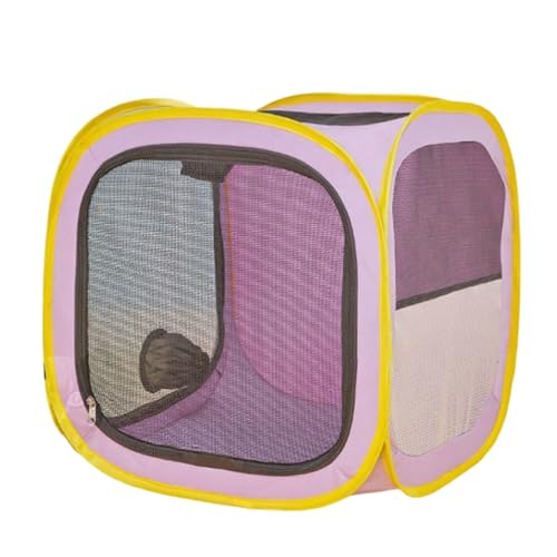 _ȔL@egA₩ȉzA\tgCeAAybgO[~OK{ǉsɗDybgXe[V