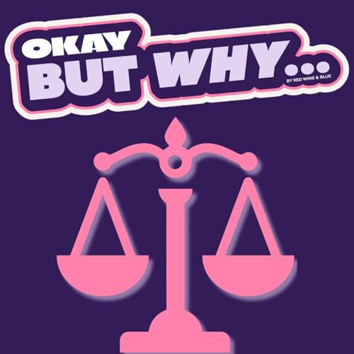 Page de couverture de Okay, But Why Should You Vote For Attorney General?