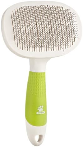 top paw brush