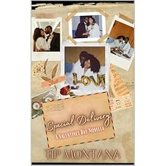 Special Delivery Audiolibro Por Tip Montana arte de portada