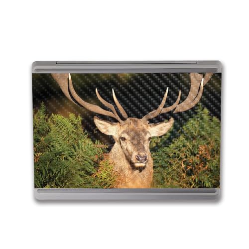 Image of MightySkins Carbon Fiber Skin Compatible with Microsoft Surface Laptop Go 3 (2023) Full Wrap Kit - Morning Buck | Protective, Durable Textured Carbon Fiber Finish | Made in The USA
