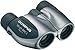Olympus 10x21 DPCI argento - 3