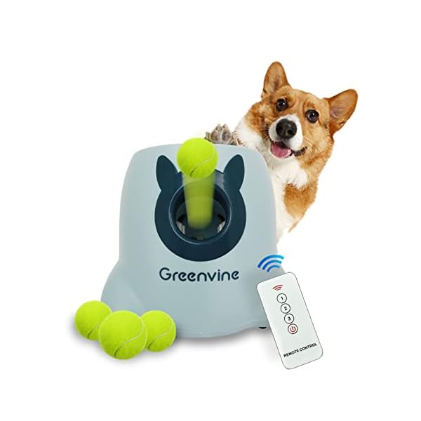 Interactive Ball Thrower Buy Online