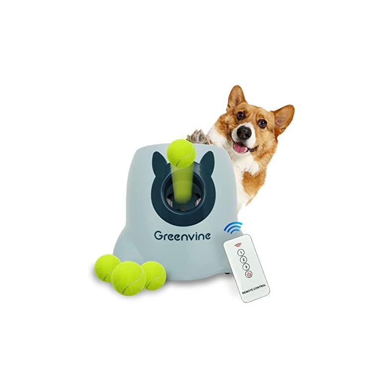 Interactive Ball Thrower Buy Online