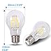 DC 12V Light Bulb A19 A60 3000k 4W Warm White LED Edison Filament E26 Screw Base Lamp DC Low Voltage RV Marine Boat Classic Industrial Prop Retro Landscape Industrial Lighting 12 Volt Battery Lighting