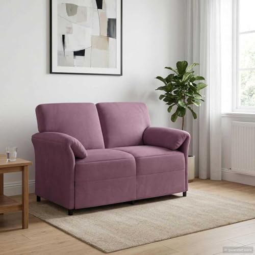Teenpull Sofá de terciopelo de 2 plazas, color morado, 138 x 83 x 95 cm, marco de metal, acolchado de espuma, para sala de estar, habitación de invitados, habitación juvenil y elegante zona de estar