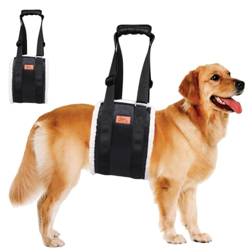 Correa de asistencia para perros con longitud ajustable para un control firme 2