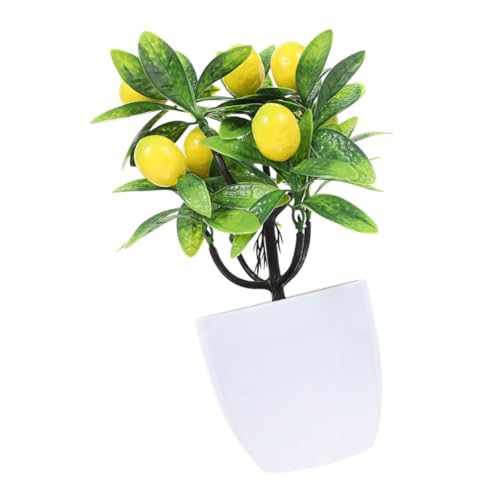 FIXOSHEE AlH̖ tFCNt[c~ pV~[Vʎ rOItBX̃CeAO[