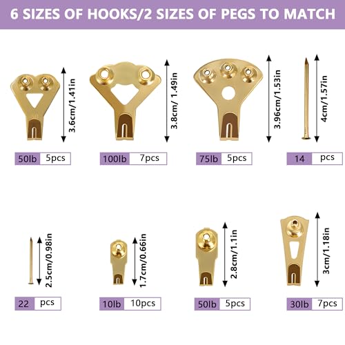 Image of 120Pcs Picture Hook Set in 6 Sizes (10LB /20LB /30LB /50LB /75LB /100LB) and 71pcs Nails, Wall Mounting Various Decorative Items, Frames, Photos, Mirrors, Picture Hooks, Clocks and Clothing Holders (Gold)