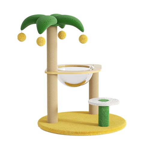 Lbg^[ J[1 ~j Lc[ L ܌ u R ܌|[ ȃXy[X RpNg VRTCU ˂ KK  48cm L ܌nEX R[i[ 