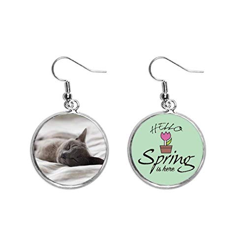 Pendientes de gato gris para lucir en tus paseos de primavera 1