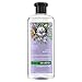 Jojoba Oil & Lavender Curls Shampoo