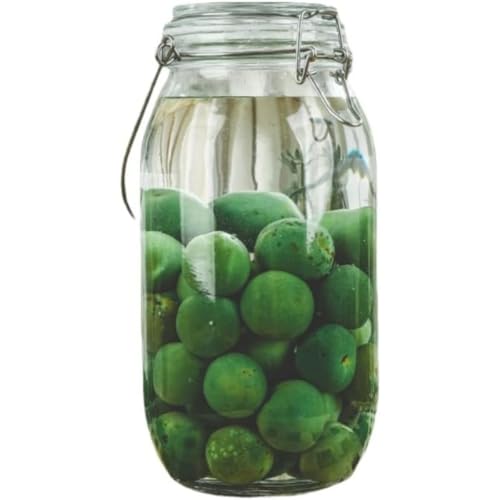 lopmou ~ r KXт ʎт 2L/3L/4L/5L eʐHiۑe KX r e LjX^[ R[q[ t ۑe ʎ Â (2L,ی^)