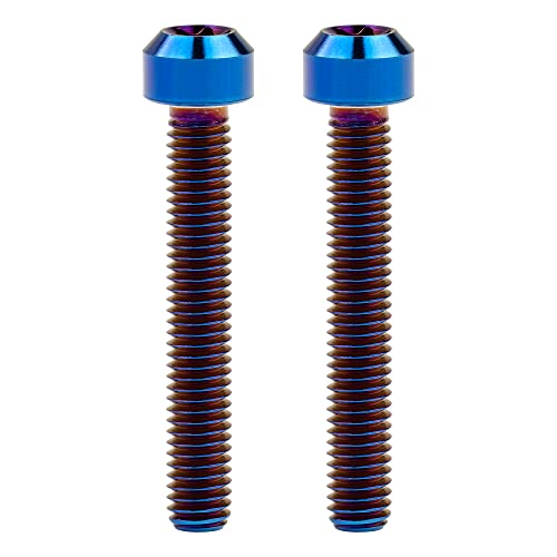 Ruifu M6x10 15 20 25 30 35 40 45 50 60 65 70 80mm Torx T30 5iK `^ Lbv{g gNX 2 (M6x40mm, R)