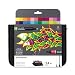 Winsor & Newton Promarker, Set of 24, Student Designer