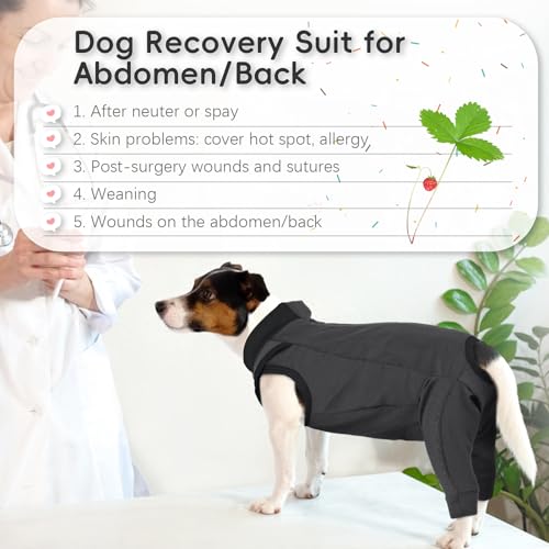 PUMYPOREITY Op Body für Hunde mit Beinen - Kastrationsleckschutz für Hündin und Rüde, Liegeschwielen-Kniebandage (Grau, M)