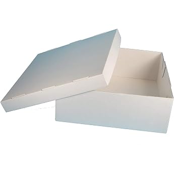 Pro DP 40 Cake Boxes Cake Boxes Transport Boxes for Bakery 32 x 32 x 12 cm Two-Piece with Lid White Corrugated Box Extra Strong Includes Packaging in D