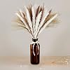 Dried Pampas Grass, 60 Pcs Natural Pampas Grass with 20 Pcs White Pampas & 20 Pcs Brown Pampas & 20 Pcs Reed Grass for…