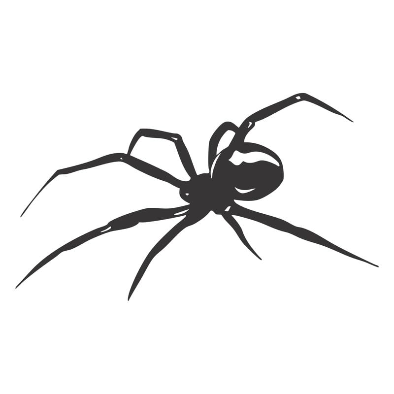 Image of Spider Semi-Permanent Tattoo for Men & Women | Minimalist Insect Design | Plant-Based Ink | Waterproof & Sweatproof | Gothic Aesthetic Fake Tattoo | Pain-Free | Lasts 7 -14 Days | Arm Wrist XL