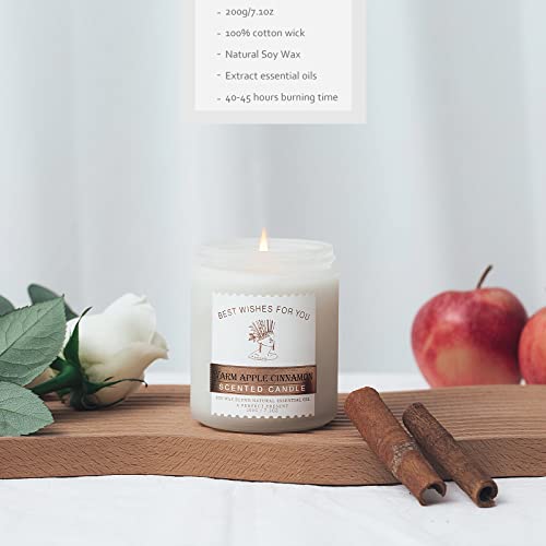 Scented Candles Gifts For Women, Cinnamon & Apple Candles For Home Decoration, Soy Wax Candles - 7 Oz 45 Hour Burn Time | Aromatherapy Candles Gifts For Valentines Day #TOP2