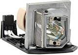 308883 LAMP TYPE 2 RICOH IPSiO PJ WX2130 X2130 X