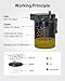 EVIL ENERGY Oil Catch Can, Universal Baffled Catch Can Kit with NBR Fuel Hose, 300ml Aluminum Air Oil Separator Tank for PCV System