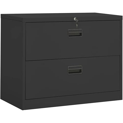 2 Drawer File with Lock, Metal Lateral File Storage