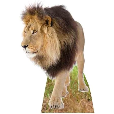 standee lifesize standup