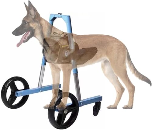 Chariot de mobilité pour chien de 11 à 100 lb avec roues réglables