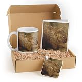 3dRose Wombat Gift Set