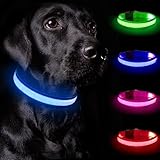 Nepfaivy Leuchthalsband Hund USB Aufladbar - Hundehalsband Leuchtend mit Verstellbarer Länge für Mittelgroße bis Große Hunde, LED Halsband Hund mit 3 Beleuchtungsmodi für Nacht Sicherheit(Blau-XS)