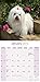 Maltese Calendar - Only Dog Breed Maltese Calendar - 2016 Wall calendars - Dog Calendars - Monthly Wall Calendar by Avonside