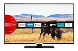 Typ: LED Fernseher mit 124 cm (49 Zoll) Bildschirmdiagonale