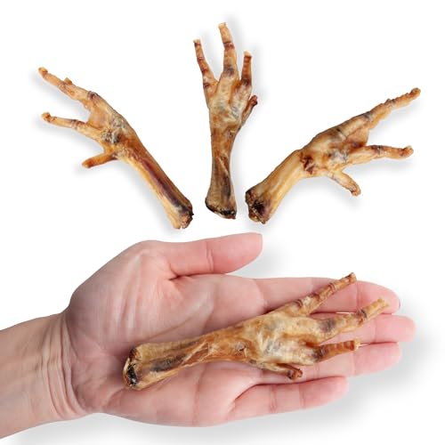 Your Right Paw Hühnerfüße für Hunde – 100 % natürliche Kauartikel – getreidefrei, proteinreich, aus Europa – 1 kg