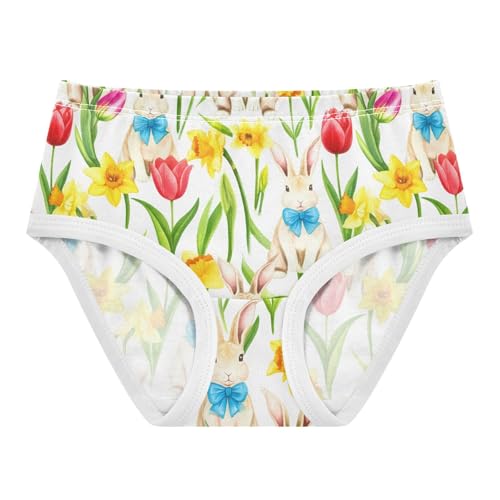 Cute Bunny Rabbit Flowers Floral Toddler Girls's Underwear 2T 2301894