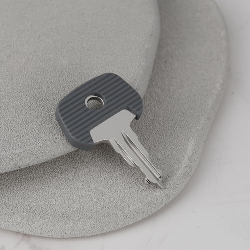 EMSea Gabelstapler-Zündschlüssel 738, kompatibel mit Jungheinrich, kompatibel mit Ameise, kompatibel mit BT, 2 Stück