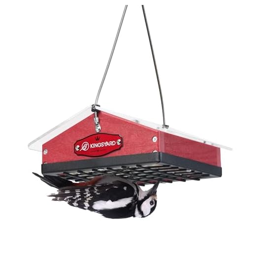 Kingsyard Upgraded Upside Down Suet Feeder for Outside Hanging - Recycled Plastic Wild Bird Feeder with Rainproof Roof for Attracting Woodpeckers Nuthatches Chickadees Finches. Red