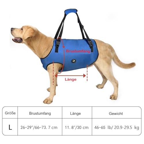 Coodeo Hundeliftgeschirr, Haustierunterstützung & Rehabilitation Sling Lift Verstellbare Gepolsterte atmungsaktive Gurte für Alt, Gelenkverletzungen, Arthritis, Stabilitätsverlust Hunde(Blau, L)