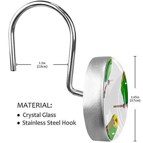Crochets rideau de douche inox robustes décor perruches Melopsittacus