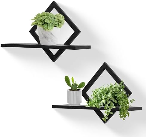 Floating Shelves for Wall,Decorative Wall Shelf,Hanging Shelf for...