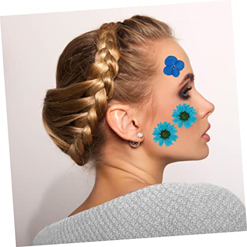 Abaodam 40 Pçs Pacote De Material De Gravação Flores Secas Para Resina Pegatinas Para Unas Materiais