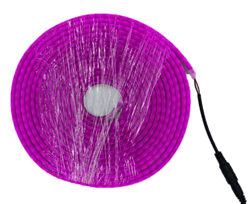 5m Mangueira Fita Led 12v Neon Corte 2,5cm Alto Brilho Ip66 Colorido Com + Fonte (Laranja)