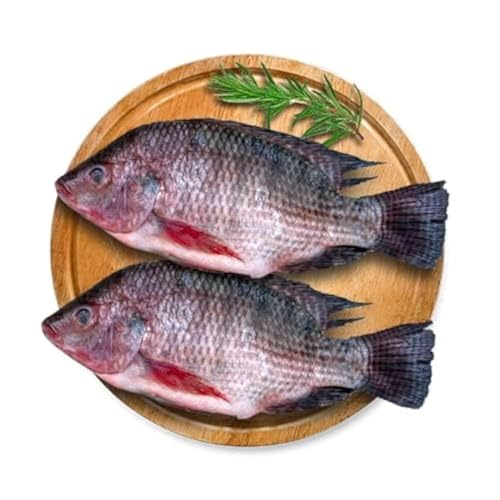 Fresh Tilapia Fish Whole Cleaned 1 kg Approx.