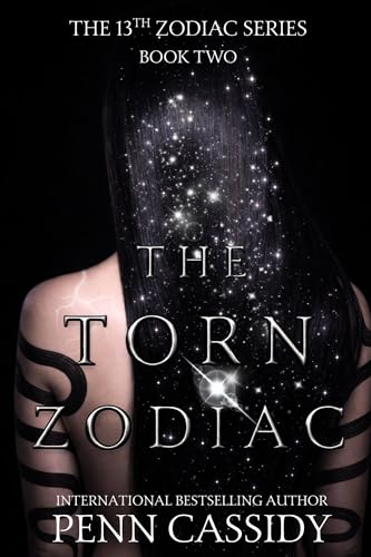 The Torn Zodiac: A Reverse Harem Academy Romance Series