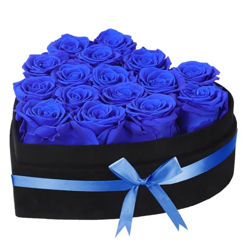 woyoo Forever Real Roses in Suede Box Royal Blue